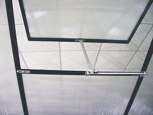 Không phủ khung kết thúc 6ft X 8ft vườn lớn nhà kính cho làm vườn ngoài trời